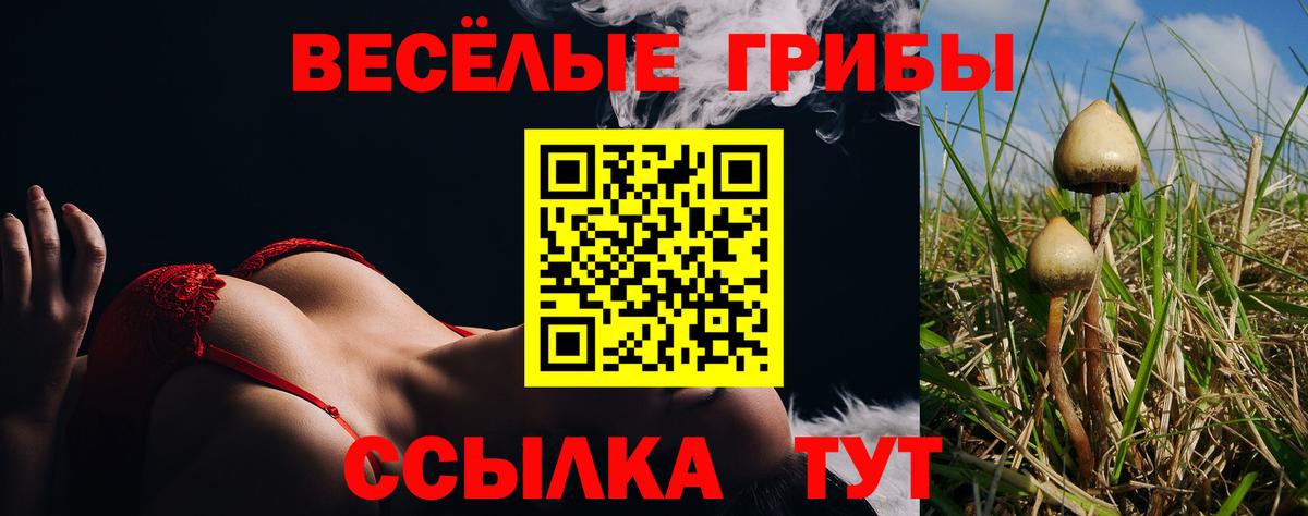 Бугульма  Галлюциногенные грибы Cubensis  Галлюциногенные грибы прущие грибы  Вход с VPN 