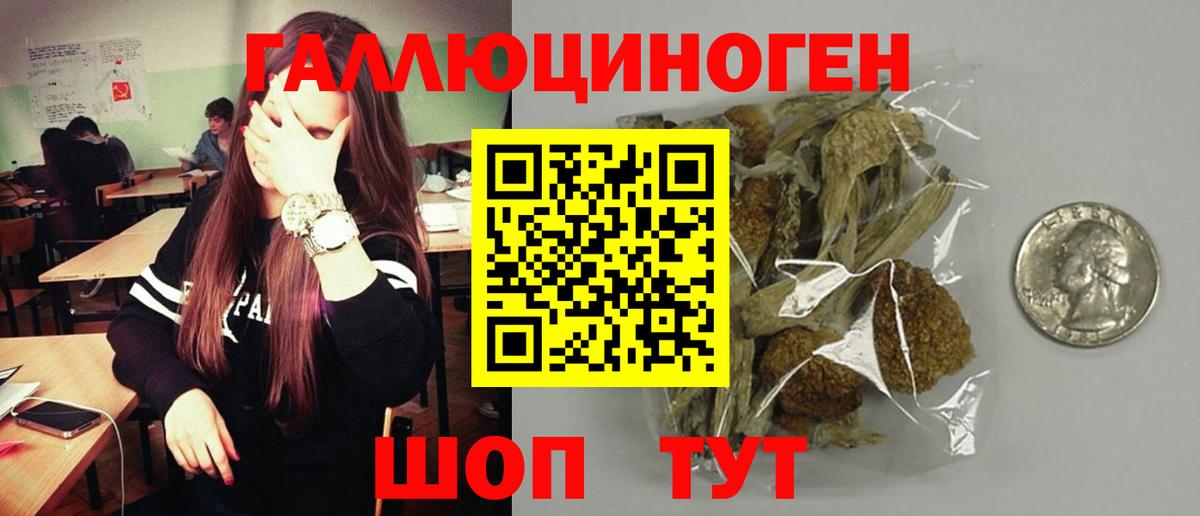 Галлюциногенные грибы мицелий Бугульма